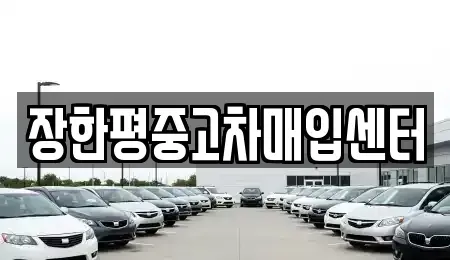 서울특별시 광진구 능동 중고차매입 전문 장한평중고차매입센터