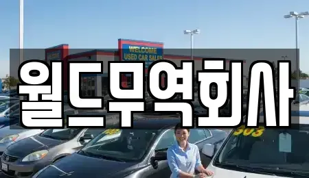 서울특별시 구로구 가리봉동 중고차 전문 월드무역회사