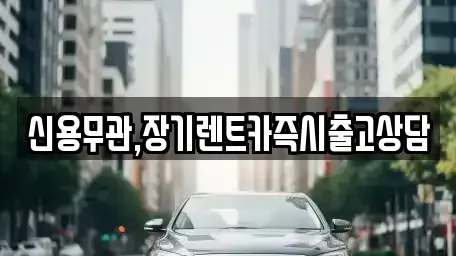 서울특별시 노원구 장기렌트카 전문 신용무관,장기렌트카즉시출고상담