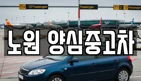 서울특별시 노원구 중고차매매 전문 노원 양심중고차