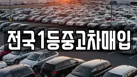 서울특별시 노원구 중고차매입 전문 전국1등중고차매입
