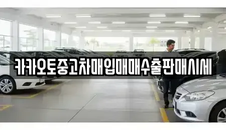 서울특별시 노원구 중고차매입 전문 카카오토중고차매입매매수출판매시세