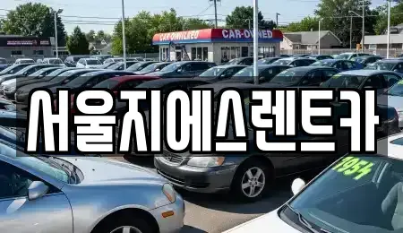 서울특별시 마포구 망원동 렌트카 전문 서울지에스렌트카