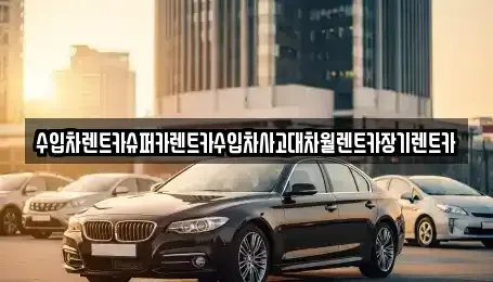 서울특별시 마포구 망원동 장기렌트카 전문 수입차렌트카슈퍼카렌트카수입차사고대차월렌트카장기렌트카