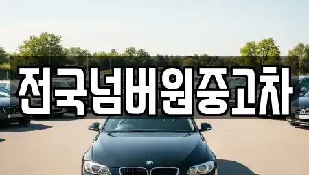 서울특별시 마포구 망원동 중고차매매 전문 전국넘버원중고차