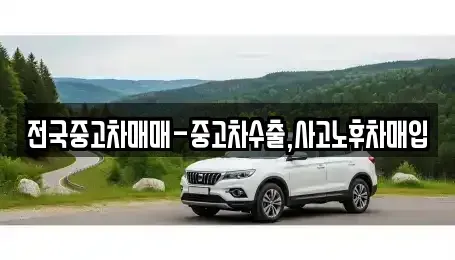 서울특별시 마포구 망원동 중고차매매,단기렌트카,중고차매입,장기렌트카,중고차,렌트카