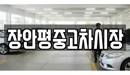 서울특별시 서대문구 합동 중고차매매 전문 장안평중고차시장