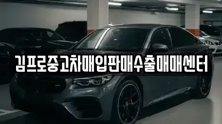 서울특별시 서대문구 합동 중고차매입 전문 김프로중고차매입판매수출매매센터
