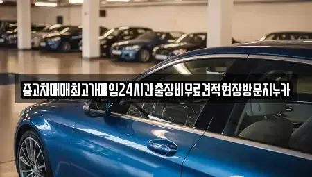 서울특별시 서대문구 합동 중고차매입 전문 중고차매매최고가매입24시간출장비무료견적현장방문지누카