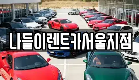 서울특별시 성북구 동소문동2가 렌트카 전문 나들이렌트카서울지점