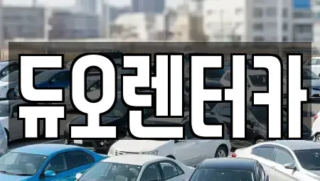 서울특별시 성북구 동소문동2가 렌트카 전문 듀오렌터카