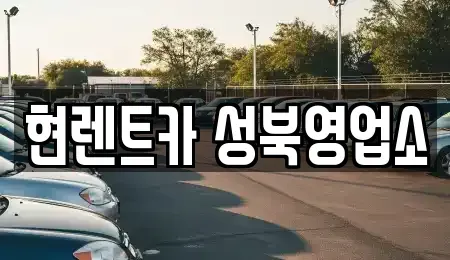서울특별시 성북구 동소문동2가 렌트카 전문 현렌트카 성북영업소
