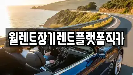 서울특별시 성북구 동소문동2가 장기렌트카,중고차,렌트카,단기렌트카,중고차매입,중고차매매