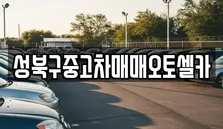 서울특별시 성북구 동소문동2가 중고차 전문 성북구중고차매매오토셀카