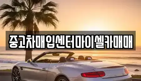 서울특별시 성북구 동소문동2가 중고차매입 전문 중고차매입센터마이셀카매매
