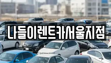 서울특별시 성북구 보문동2가 렌트카 전문 나들이렌트카서울지점