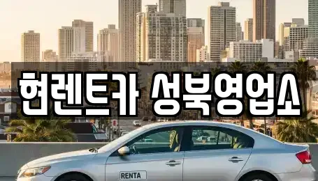 서울특별시 성북구 보문동2가 렌트카 전문 현렌트카 성북영업소