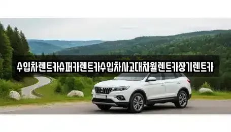 서울특별시 성북구 보문동2가 장기렌트카 전문 수입차렌트카슈퍼카렌트카수입차사고대차월렌트카장기렌트카