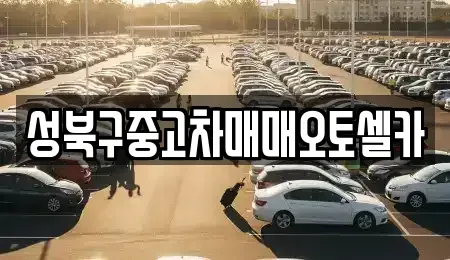 서울특별시 성북구 보문동2가 중고차 전문 성북구중고차매매오토셀카