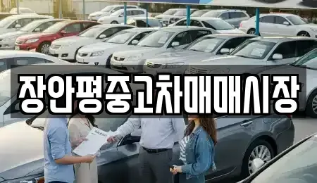 서울특별시 성북구 보문동2가 중고차 전문 장안평중고차매매시장