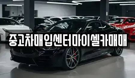 서울특별시 성북구 보문동2가 중고차매입 전문 중고차매입센터마이셀카매매