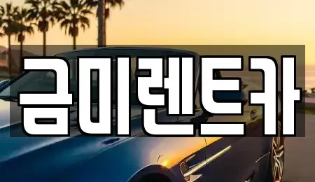 서울특별시 영등포구 당산동5가 렌트카 전문 금미렌트카