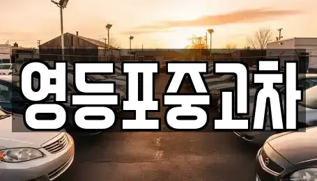 서울특별시 영등포구 당산동5가 중고차 전문 영등포중고차