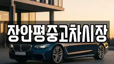 서울특별시 영등포구 당산동5가 중고차 전문 장안평중고차시장