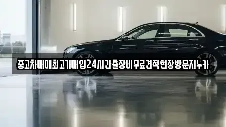 서울특별시 영등포구 당산동5가 중고차매입 전문 중고차매매최고가매입24시간출장비무료견적현장방문지누카