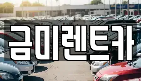 서울특별시 종로구 가회동 렌트카 전문 금미렌트카