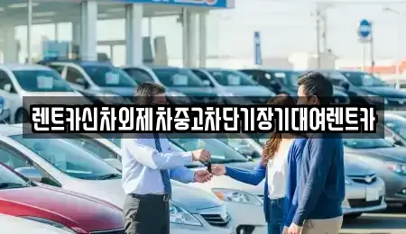 서울특별시 종로구 가회동 장기렌트카 전문 렌트카신차외제차중고차단기장기대여렌트카
