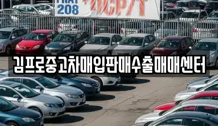 서울특별시 종로구 가회동 중고차 전문 김프로중고차매입판매수출매매센터