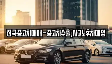 서울특별시 종로구 가회동 중고차 전문 전국중고차매매-중고차수출,사고노후차매입