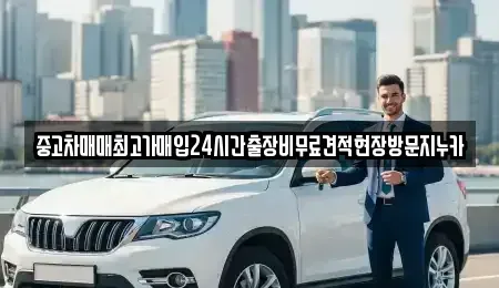 서울특별시 종로구 가회동 중고차 전문 중고차매매최고가매입24시간출장비무료견적현장방문지누카