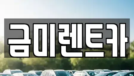 서울특별시 종로구 누하동 렌트카 전문 금미렌트카