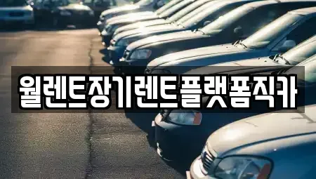 서울특별시 종로구 누하동 장기렌트카 전문 월렌트장기렌트플랫폼직카