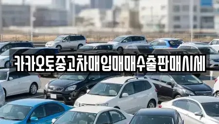서울특별시 종로구 누하동 중고차매입 전문 카카오토중고차매입매매수출판매시세