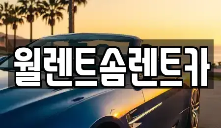 서울특별시 종로구 신문로1가 렌트카 전문 월렌트솜렌트카