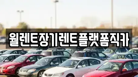 서울특별시 종로구 신문로1가 장기렌트카 전문 월렌트장기렌트플랫폼직카