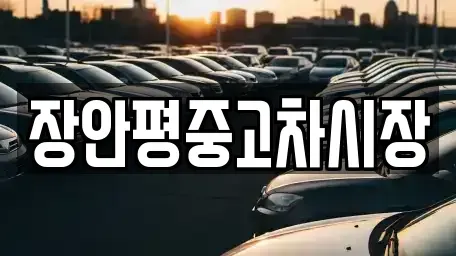 서울특별시 종로구 신문로1가 중고차매매 전문 장안평중고차시장