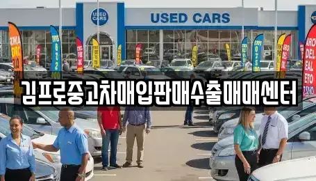 서울특별시 종로구 신문로1가 중고차매입 전문 김프로중고차매입판매수출매매센터