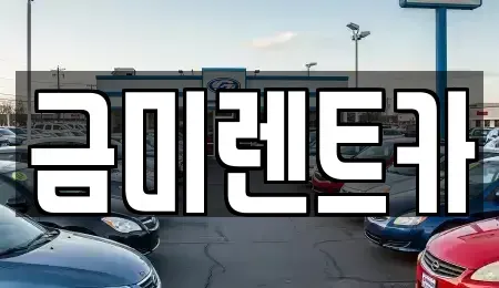 서울특별시 종로구 청운동 렌트카 전문 금미렌트카
