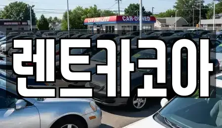 서울특별시 중구 다동 렌트카 전문 렌트카코아