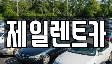 서울특별시 중구 다동 렌트카 전문 제일렌트카