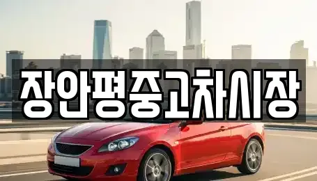 서울특별시 중구 다동 중고차 전문 장안평중고차시장