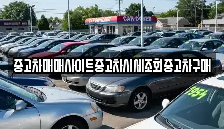 서울특별시 중구 다동 중고차 전문 중고차매매사이트중고차시세조회중고차구매