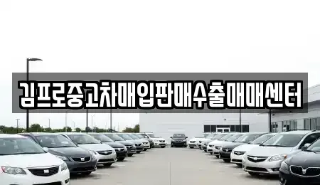 서울특별시 중구 다동 중고차매입 전문 김프로중고차매입판매수출매매센터