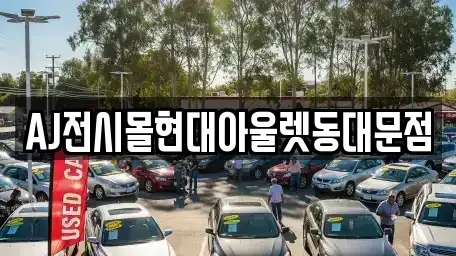 서울특별시 중구 방산동 렌트카 전문 AJ전시몰현대아울렛동대문점