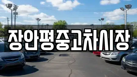 서울특별시 중구 방산동 중고차 전문 장안평중고차시장