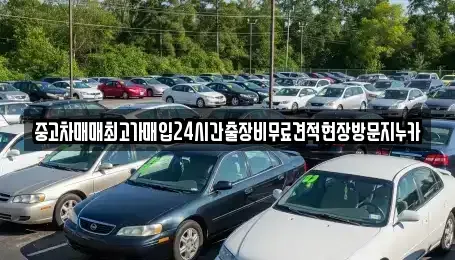 서울특별시 중구 방산동 중고차매입 전문 중고차매매최고가매입24시간출장비무료견적현장방문지누카